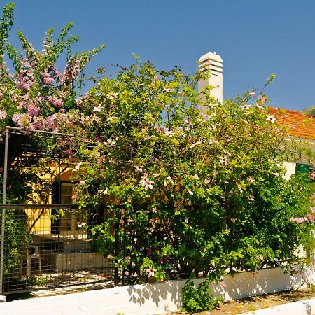 House With Garden Near The Sea Apartment Agia Efimia Luaran gambar