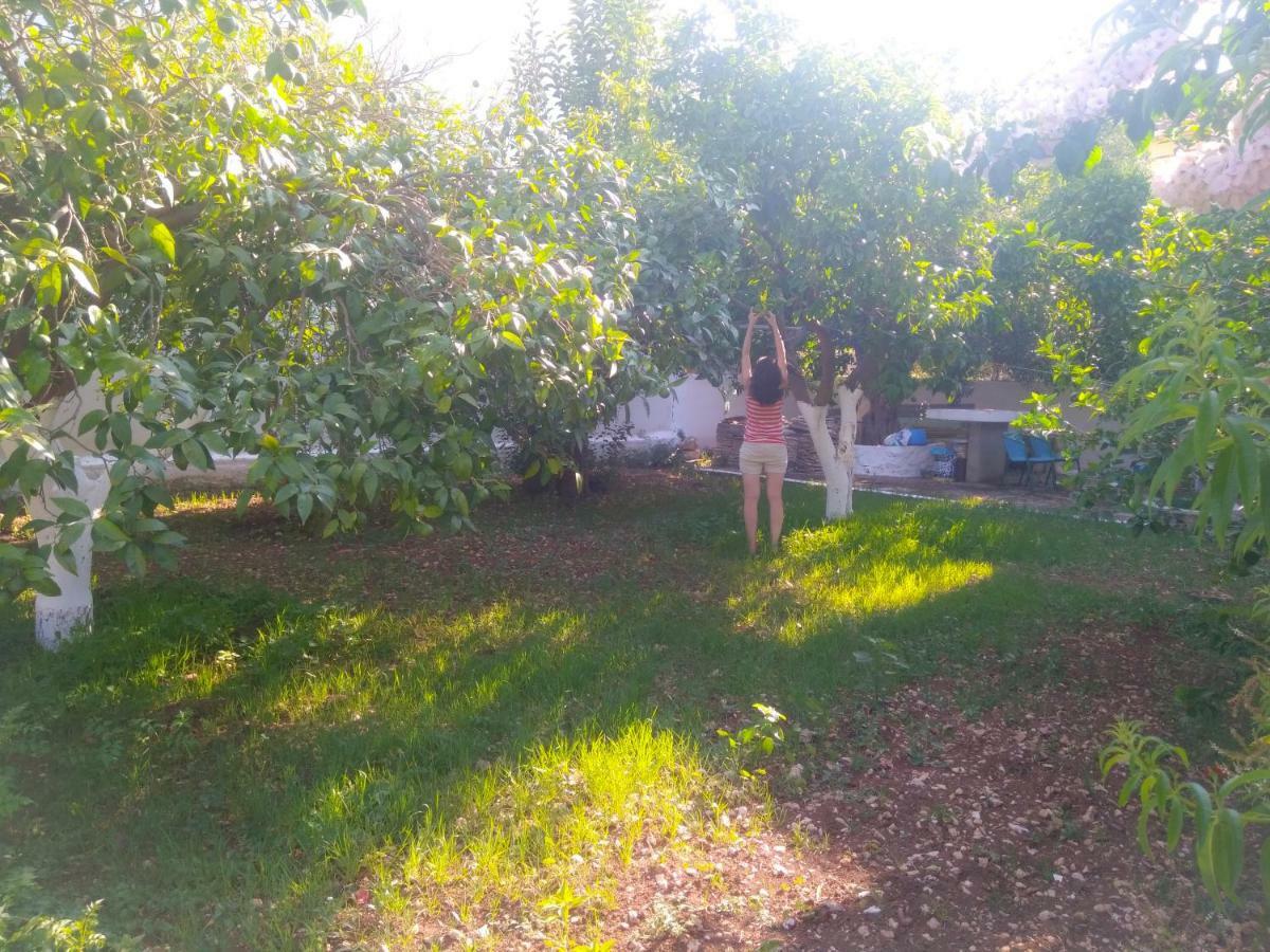 House With Garden Near The Sea Apartment Agia Efimia Luaran gambar